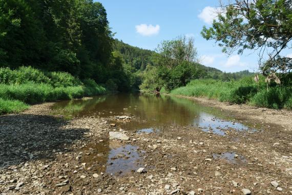 Blick auf ein teilweise trockenliegendes flaches Flussbett. Das Ufer rechts ist mit Gebüsch und Bäumen bewachsen. An der linken Uferseite steigen zusätzlich bewaldete Berghänge auf.