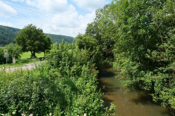 Blick auf einen schmalen, auf der rechten Bildseite zum Betrachter fließenden Fluss. Das Ufer rechts ist von hohen Bäumen gesäumt. Links wachsen Büsche und Sträucher. Das Gewässer hat eine braungrüne Farbe.