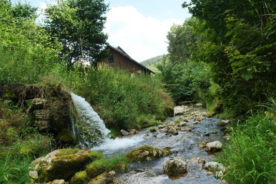 Blick auf ein steiniges Bachbett mit stark bewachsenen, ansteigenden Ufern. Am Ufer links steht etwas erhöht ein Gebäude. Davor strömt hinter einem Gesteinsvorsprung eine Quelle wie ein kleiner Wasserfall in den Bach.