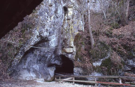 Eingang zur Wimsener Höhle (Friedrichshöhle) bei Hayingen-Wimsen Blick auf den Eingang zu einer Höhle. Die Höhle befindet sich am unteren Ende eines Felshanges, der rechts Bodenbildung zeigt und mit Bäumen bewachsen ist.