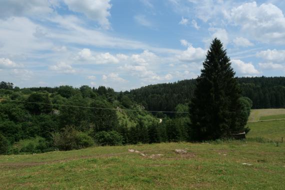 Blick über einen erhöht liegenden grünen Hang, der abwärts mit Bäumen bestanden ist, auf einen Gegenhang. Nahe der Bildmitte ist an diesem Hang der Busch- und Baumbewuchs dünner und es treten teils Felsen hervor.