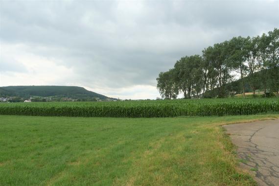 Blick auf ein höher gelegenes Maisfeld mit vorgelagerter Grünfläche. Dahinter sind Gebäude einer Ortschaft zu erkennen. Links und rechts des Ortes erheben sich bewaldete Höhen.