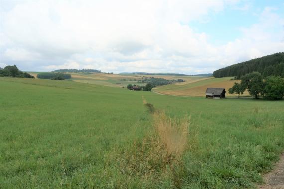 Blick auf welliges Grünland, im Hintergrund durchsetzt mit Äckern und Bäumen. Am rechten Bildrand beginnt ein bewaldeter Hügel.