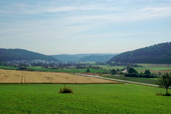 Blick über eine Landschaftserhebung mit Wiesen und Äckern im Vordergrund auf ein Tal mit bewaldeten Bergen rechts und im Hintergrund. Links, vor einem weiteren Berg, liegt etwas abgesenkt eine Ortschaft. 