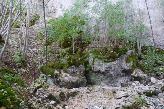 Blick auf stark bewachsene Gesteinsblöcke am unteren Ende eines nach rechts abfallenden Hanges. Zwischen den Blöcken befindet sich eine schmale Spalte, darunter, zum Vordergrund hin, ein jetzt trockenes Bachbett.