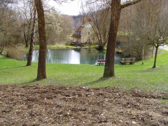 Leicht abwärts gerichteter Blick auf einen ovalen See. Die grünen Ufer des Sees sind mit einzelnen Bäumen bestanden. Am hinteren Ufer steht ein Gebäude mit Mühlrad.