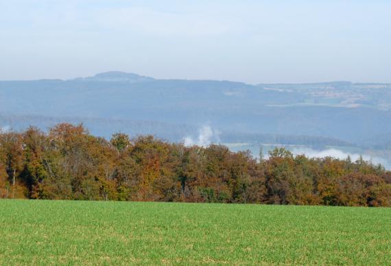 Blick über eine Wiese und eine Baumgruppe hinweg auf ein Tal und bewaldete Bergrücken. Im Hintergrund links ist eine Erhöhung, ein Vulkankegel, erkennbar.