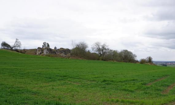 Durch den Meteoriteneinschlag zertrümmerte und verkittete Oberjura-Schollen auf der Riesalb bei Dischingen-Demmingen („Griesbuckel“) Blick auf eine hochgelegene, leicht nach rechts abfallende Wiese. Im Mittelgrund, am oberen linken Rand der Grünfläche, sind Felsformationen sowie eine Bauminsel zu erkennen.