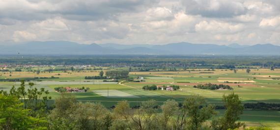 Unter einem sehr wolkigen Himmel breitet sich eine flache Landschaft mit Wiesen und Feldern sowie einzelnen Höfen aus. Im fernen Dunst erhebt sich eine Bergkette. Im Vordergrund steigt ein Wiesenhang mit Bäumen und Sträuchern auf.