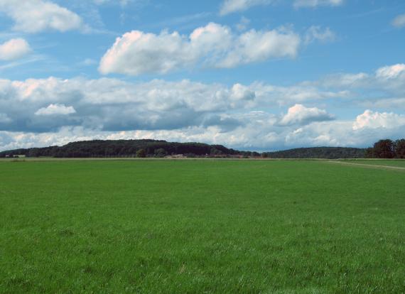 Blick von der Flächenalb bei Berghülen nach Nordosten zur Klifflinie Das Bild zeigt weite, flache Wiesen unter stark bewölktem Himmel. Im Hintergrund sind dünne Ackerstreifen sowie flache bewaldete Höhenrücken erkennbar.
