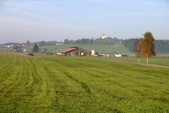 Blick über eine nach links ansteigende grüne Wiese auf einen von einer Burg bekrönten, bewaldeten Höhenrücken. Im Mittelgrund liegt ein Gehöft.