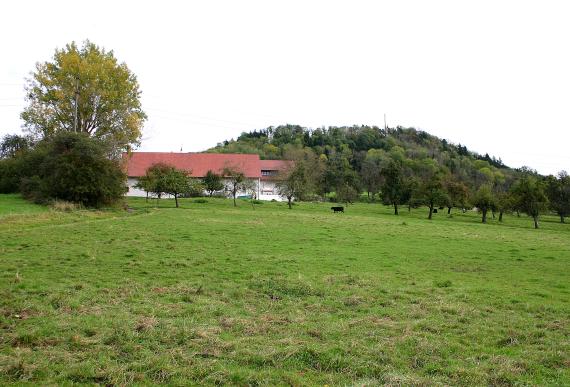 Hinter einer Wiese steht zwischen Bäumen ein Bauernhof. Im Hintergrund ist ein bewaldeter Hügel zu erkennen.