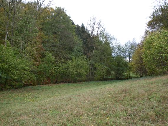 Blick auf einen nach rechts ansteigenden Wiesenhang. Im Grün der Wiese zeigen sich braune Stellen. Entlang der Wiese stehen Laub- und Nadelbäume.