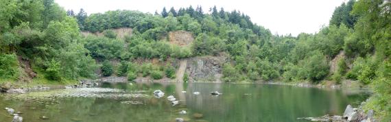Blick auf einen stark mit Bäumen und Sträuchern zugewachsenen Steinbruch. In der Bildmitte sind noch rötlich graue Gesteinswände sichtbar. Im Vordergrund befindet sich ein kleiner See.