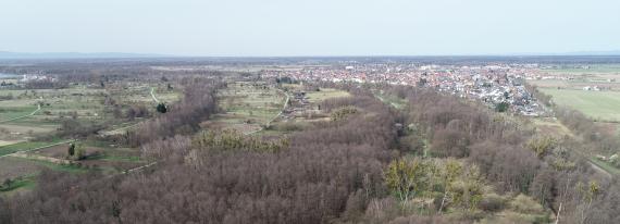Verlandeter Altlauf des Rheins bei Linkenheim-Hochstetten mit Übergang zur würmzeitlichen Niederterrasse mit Bebauung in der Bildmitte rechts Blick aus großer Höhe auf einen ehemaligen Flusslauf. Die jetzt verlandeten Flächen werden für Ackerbau genutzt. Auch größere Waldflächen, besonders im Vordergrund, sind zu sehen. Im Hintergrund rechts, einer Biegung folgend, liegt eine Ortschaft.
