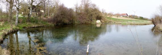 Karstquelle der Nau mit ihrem Quelltopf bei Langenau Das Foto zeigt einen nach rechts wegführenden Fluss. Links ist ein gerundeter Uferrand erkennbar. Am jenseitigen, leicht ansteigenden Ufer wachsen in der Bildmitte und links davon Bäume bis ans Wasser. Im Hintergrund rechts stehen Siedlungshäuser.