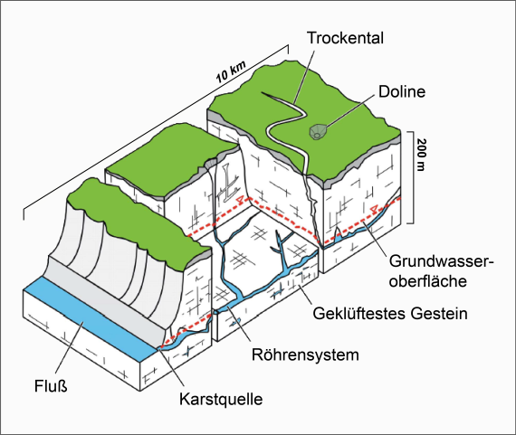 Konzeptmodell eines Karstgrundwasserleiters (Grafik: verändert nach Geyer, 2008) Mehrfarbige Grafik als Geländemodell, mit angeschnittener rechter Seite und ausgeschnittenem Mittelteil. Das Modell zeigt geklüftetes Gestein sowie ein tief liegendes Röhrensystem, das links in eine Quelle mündet.