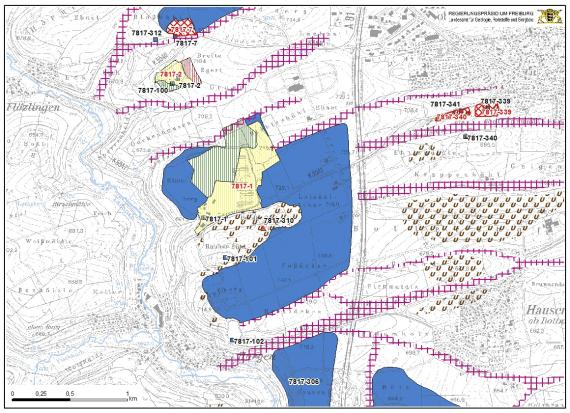 Ausschnitt aus dem Entwurf zur Karte der mineralischen Rohstoffe 1 : 50 000 mit der Darstellung des rohstoffwirtschaftlich interessanten Kalksteinvorkommens nördlich von Horgen