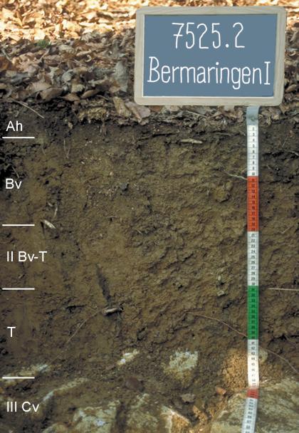 Das Foto zeigt ein Bodenprofil des LGRB unter Wald. Das in fünf Horizonte gegliederte, unten gesteinsführende Profil hat eine Tiefe von 70 cm. Rechts oben zeigt eine Tafel den Namen und die Nummer des Profils an.
