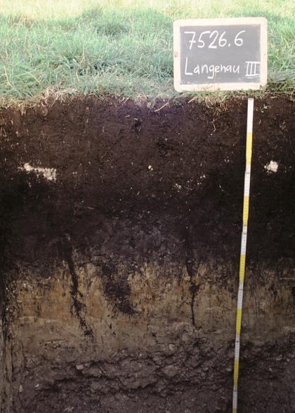 Das Foto zeigt ein oben schwarzbraunes, unten helleres Bodenprofil unter Grasbewuchs. Das Profil ist 110 cm tief. Rechts oben ist eine beschriftete Tafel aufgestellt.