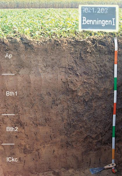 Das Foto zeigt ein Bodenprofil unter Acker. Es handelt sich um ein Musterprofil des LGRB. Das in vier Horizonte gegliederte Profil ist 1,10 m tief.