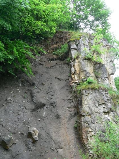 Hier sieht man links im Bild eine senkrecht aufragende, dunkelgraue Gesteinswand, an die sich rechts hellere Felsblöcke anlehnen. Oben ist dichter Bewuchs erkennbar, aber auch zwischen den Felsblöcken rechts sprießen Grünpflanzen.
