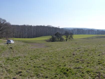 Blick auf eine leicht hügelige Grünlandschaft mit einer Bodenvertiefung im Bildmittelgrund. In der länglichen Senke stehen einzelne Bäume. Im Hintergrund verläuft ein Waldstreifen.