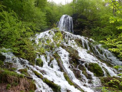 Schöner Blick auf einen hoch angesetzten Wasserfall, dessen Gischt über Steine und Totholz auf den Betrachter zufließt. Dichter, an einem Hang wachsender Wald rahmt den Wasserfall ein.