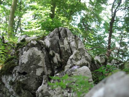 Blick auf eine hellgraue Felsengruppe mit dunkelgrauen Stellen. Die Felsen in der Mitte haben die Form von aneinanderliegenden Fingern. Im Rücken der Felsgruppe stehen hohe, belaubte Bäume.