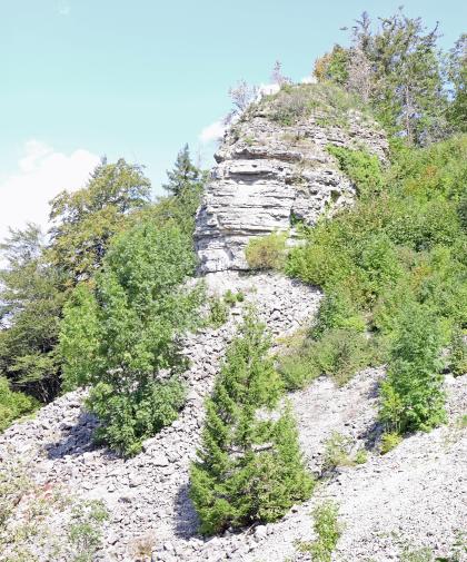 Blick auf einen nach rechts aufsteigenden Steilhang mit kleinerer Felsnadel aus hellem Gestein. Unterhalb der Nadel liegt Blockschutt. Zwischen dem Geröll sowie um die Felsnadel wachsen Bäume und Büsche.