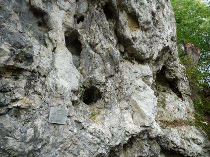 Seitlicher Blick auf eine Felswand. Im hellgrauen Gestein finden sich mehrere kleine Öffnungen. Eine links unten am Fels angebrachte Infotafel nennt den Namen "Höllenstein".