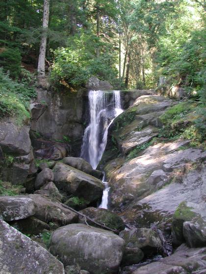 Das Bild zeigt ein enges, von Felsblöcken gesäumtes und von hohen Bäumen beschattetes Bachbett. Im Bildmittelgrund fließt ein schmaler Wasserfall.