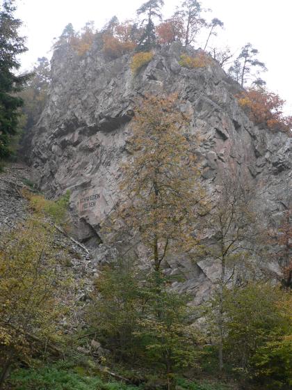 Das Bild zeigt einen hohen, grauen Felsen, der von Bäumen umgeben und auch bewachsen ist. Links der Bildmitte ist eine Aufschrift auf dem Gestein erkennbar.