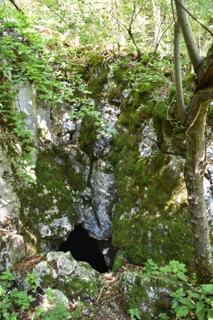 Leicht abwärts gerichteter Blick auf den kleinen, dreieckigen Eingang einer Höhle am unteren Ende einer hellgrauen, mittig und rechts stark bemoosten Felsformation. Oben ist die mit Bäumen bewachsene Kuppe der Felswand erkennbar.