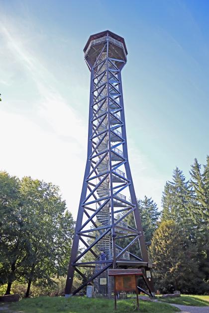 Blick auf einen hohen Aussichtsturm. Der Turm, in offener Bauweise mit Querverstrebungen und metallener Wendeltreppe im Inneren, steht auf einer Lichtung. Oben ist eine achteckige, überdachte Aussichtskanzel angebracht.