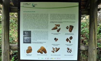 Blick auf eine überdachte Schautafel im Naturpark Schönbuch mit Bildern fossiler Zähne und Fischschuppen..