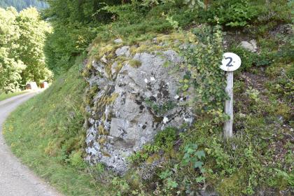 Blick auf einen nach rechts aufsteigenden steilen Waldhang mit hervortretendem, teils mit Moos bewachsenem Felsenkopf. Rechts ist ein Schild mit einer Zahl angebracht. Links verläuft im Bogen ein Fußweg am Hang vorbei.