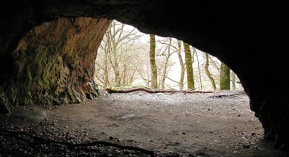 Blick aus dem schwarz gefärbten, halbkreisförmigen Eingang einer Höhle hinaus ins Freie. Draußen befinden sich der ebene Zugang zur Höhle sowie mehrere Bäume.
