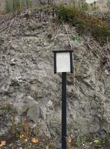 Blick auf eine oben rechts bewachsene Gesteinswand aus grauem Tuffgestein. Vor der Gesteinswand, die auch einige weißliche Flecken aufweist, steht eine Infotafel.