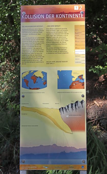 Blick auf eine hohe farbige Infotafel am Geologischen Lehrpfad Sipplingen. Thema der Tafel ist das Zusammentreffen zweier Kontinentalplatten sowie die Bildung des Molassebeckens zwischen Schwäbischer Alb und den Alpen mit dem Tiefpunkt Bodensee.