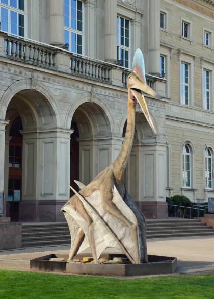Blick auf die Nachbildung eines Flugsauriers, aufgestellt vor dem Eingang zum Naturkundemuseum in Karlsruhe. Die Flugechse trägt einen segelähnlichen Knochenkamm, die Flügel sind angelegt.