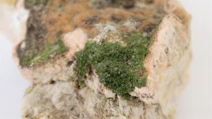In stark vergrößernder Nahaufnahme werden hier winzige grüne Kristalle gezeigt, die wie Pflanzenbewuchs an der Bruchkante eines hellen Gesteins haften.