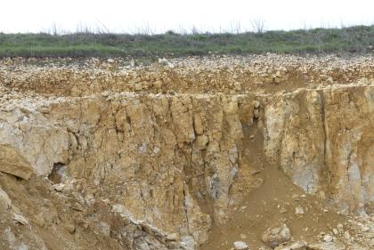Blick auf eine rissige, hellbraune bis hellgraue Gesteinswand. Links ist eine Seitenwand angeschnitten, rechts verläuft eine trichterförmige, mit Erde gefüllte Rinne. Zum Hintergrund hin ist eine Pflanzendecke zu sehen.