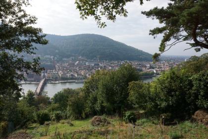 Blick von einem hochgelegenen Spazierweg über Baumgruppen auf den Neckar und die Stadt Heidelberg. Hinter der Stadt erhebt sich ein bewaldeter Berg.