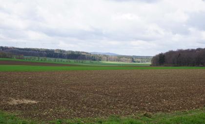 Über dunkelbraune Äcker im Vorder- und Mittelgrund geht der Blick über flachwelliges Gelände mit grünen Hügeln und Wiesen. Im Hintergrund ziehen sich langgestreckte bewaldete Bergrücken hin.