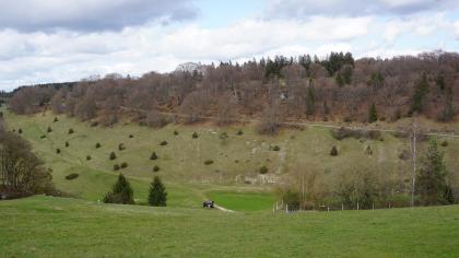 Das Bild zeigt eine höher gelegene Wiese, die zum Mittelgrund hin steil abfällt. Dahinter steigt ein oben bewaldeter Bergrücken auf. An seiner grünen Frontseite verteilen sich einzelne kleine Bäume, Felsen und Büsche.