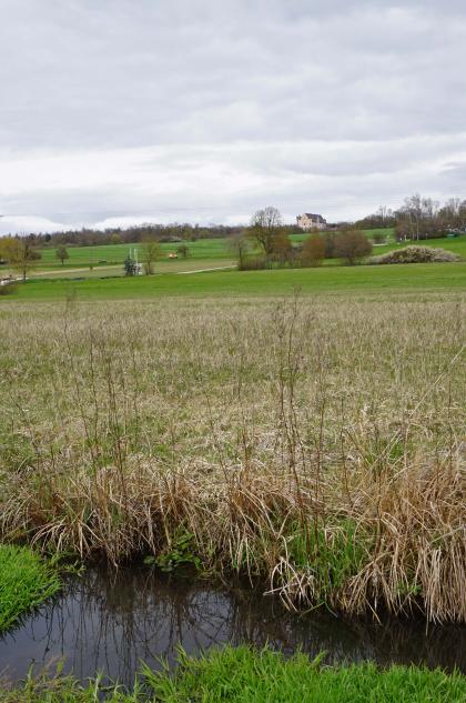 Teilansicht einer Moorfläche mit Riedgras und Wasseraustritt im Vordergrund. Im Hintergrund ist eine ansteigende Landschaft mit flachen Hügeln erkennbar. Auf einem der Hügel steht ein Schloss.