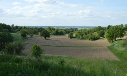 Blick über eine abschüssige Wiese auf eine muldenförmige, von dicht stehenden Bäumen umgrenzte Ackerfläche. Im Hintergrund liegt eine Ebene mit einer Ortschaft und Waldstreifen.
