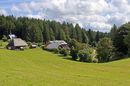 Abwärts gerichteter Blick auf einen Wiesenhang. Rechts, in einer von Bäumen gesäumten Mulde, verläuft ein Fußweg. Links stehen verschiedene Gebäude am Hang, darunter eine kleine Kapelle. Im Hintergrund begrenzt dichter Wald den Hang.