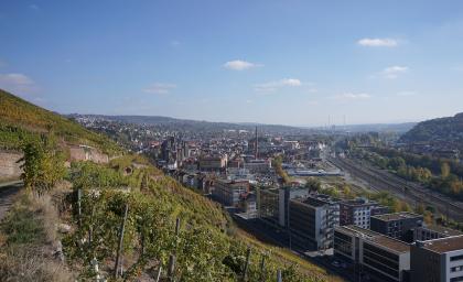 Blick über links aufsteigende, steile Rebhänge auf ein sich zum Horizont hin weitendes Tal. Das Tal ist vollständig besiedelt, unter anderem mit Hochhäusern. Rechts sind zudem die Gleisanlagen eines Bahnhofes zu sehen.
